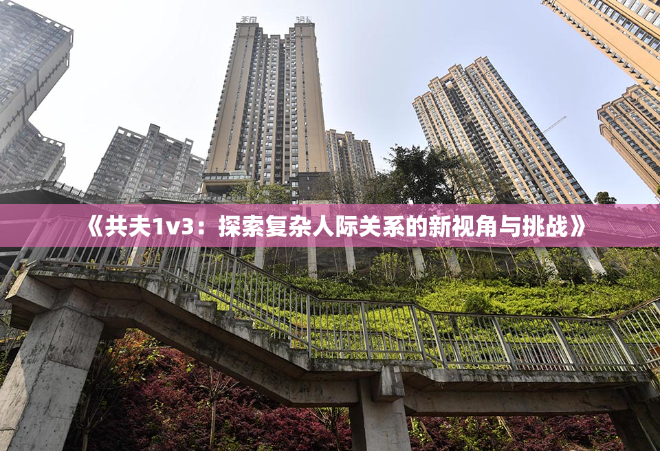 《共夫1v3：探索复杂人际关系的新视角与挑战》