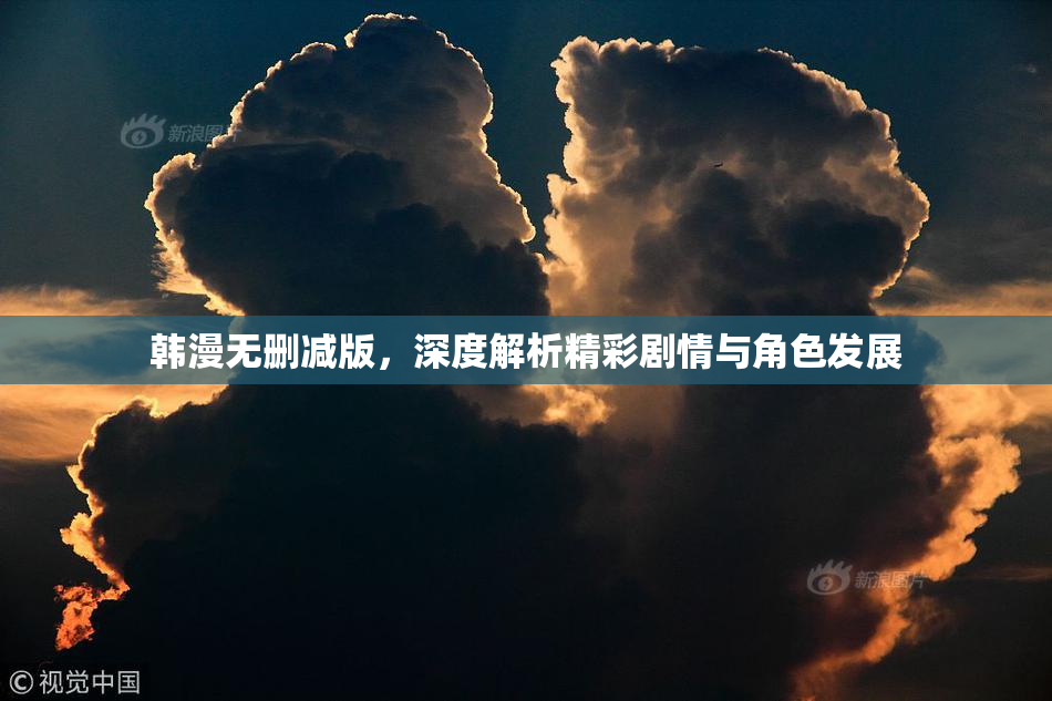 韩漫无删减版，深度解析精彩剧情与角色发展