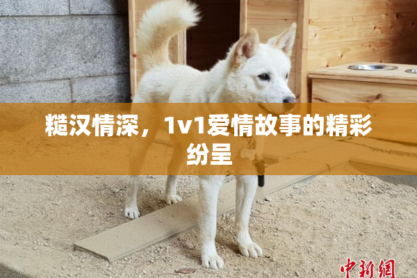 糙汉情深，1v1爱情故事的精彩纷呈