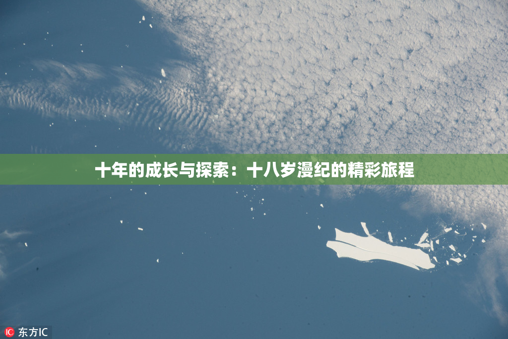十年的成长与探索：十八岁漫纪的精彩旅程
