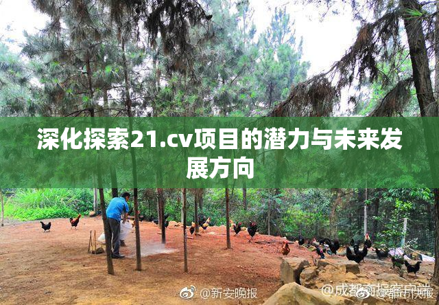 深化探索21.cv项目的潜力与未来发展方向