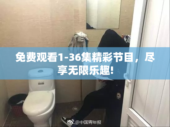 免费观看1-36集精彩节目，尽享无限乐趣!