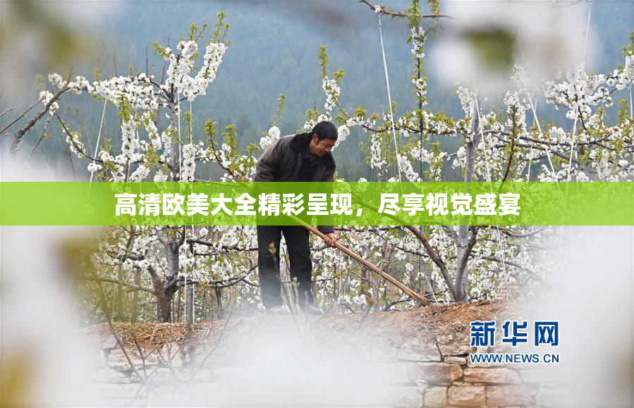 高清欧美大全精彩呈现，尽享视觉盛宴
