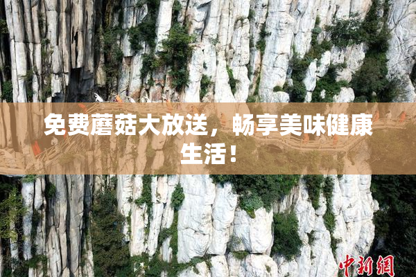 免费蘑菇大放送，畅享美味健康生活！