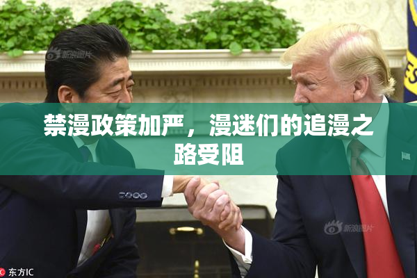 禁漫政策加严，漫迷们的追漫之路受阻