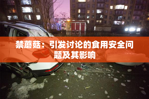 禁蘑菇：引发讨论的食用安全问题及其影响
