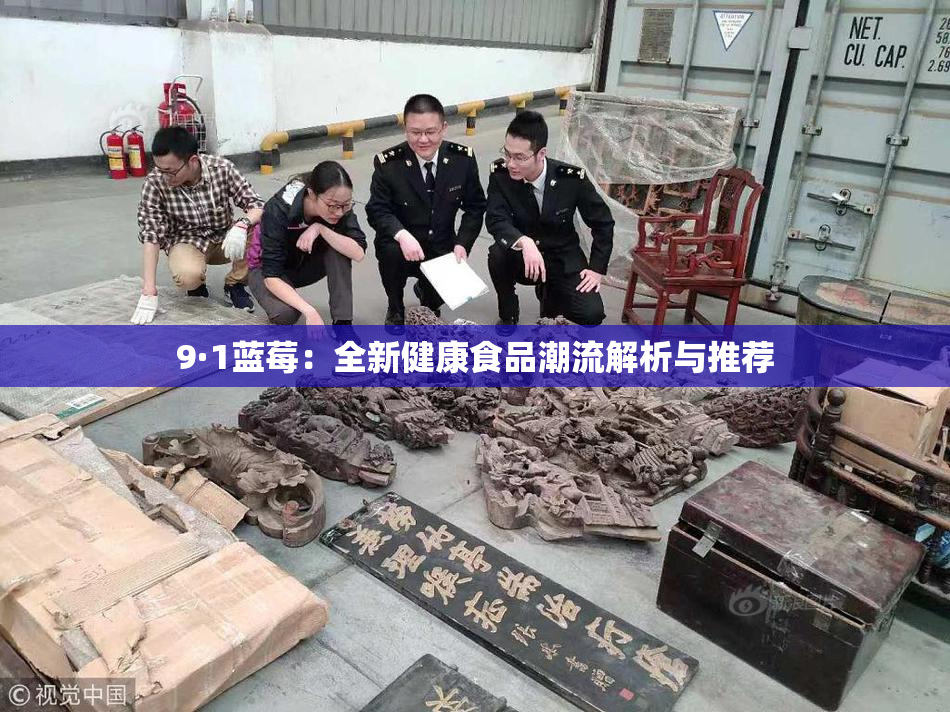 9·1蓝莓：全新健康食品潮流解析与推荐