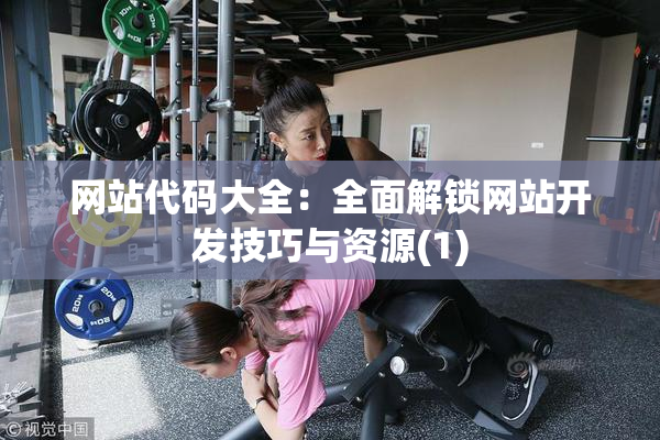 网站代码大全：全面解锁网站开发技巧与资源(1)