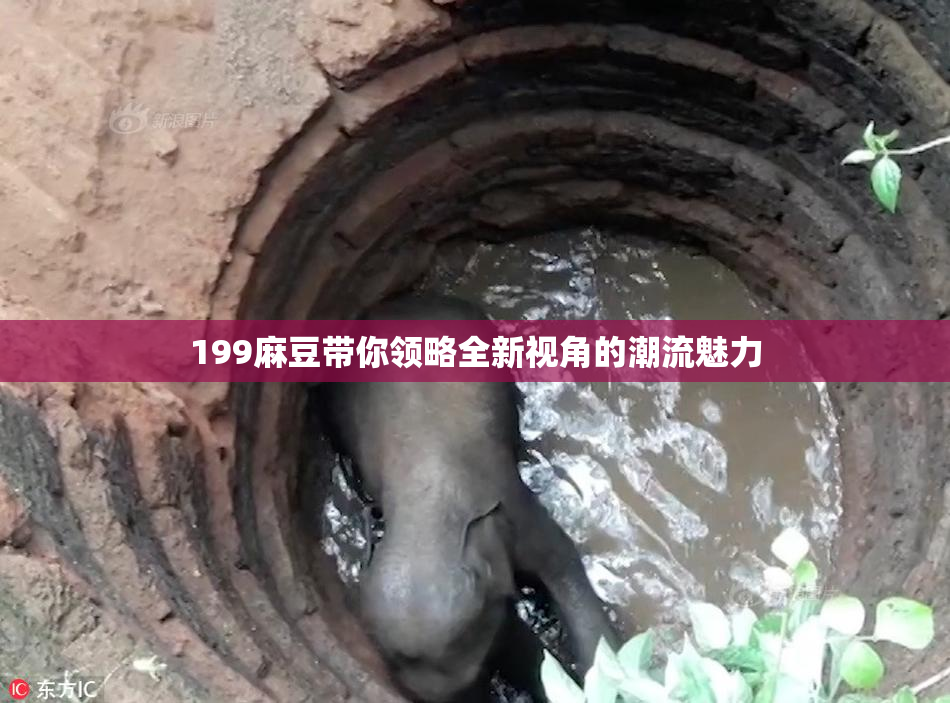 199麻豆带你领略全新视角的潮流魅力