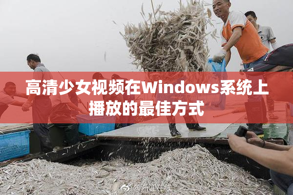 高清少女视频在Windows系统上播放的最佳方式