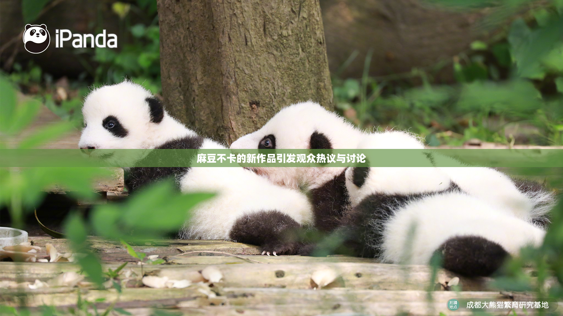 麻豆不卡的新作品引发观众热议与讨论