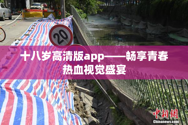 十八岁高清版app——畅享青春热血视觉盛宴