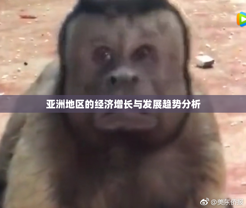 亚洲地区的经济增长与发展趋势分析