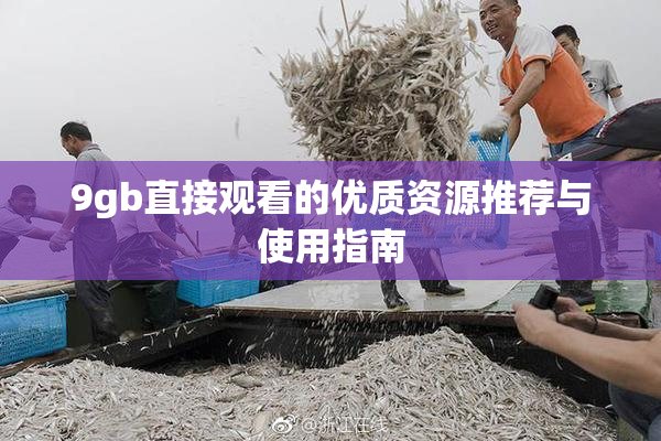 9gb直接观看的优质资源推荐与使用指南