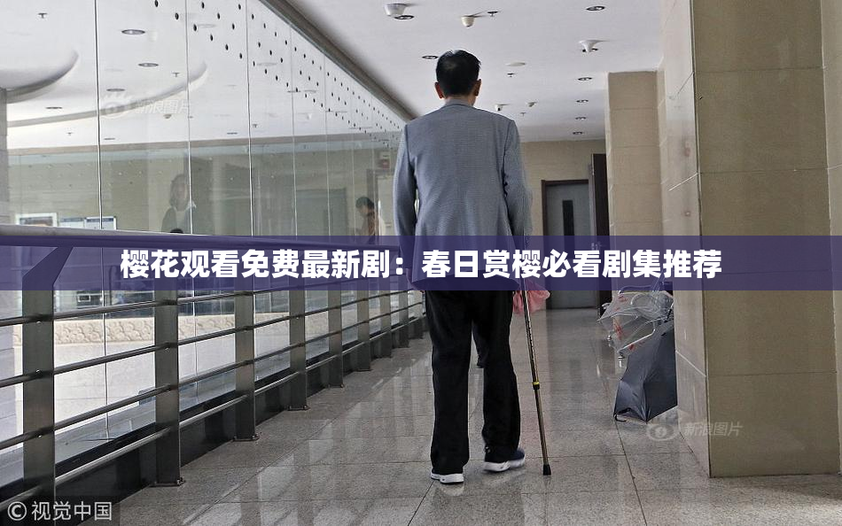 樱花观看免费最新剧：春日赏樱必看剧集推荐