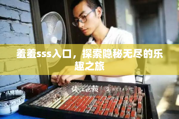 羞羞sss入口，探索隐秘无尽的乐趣之旅