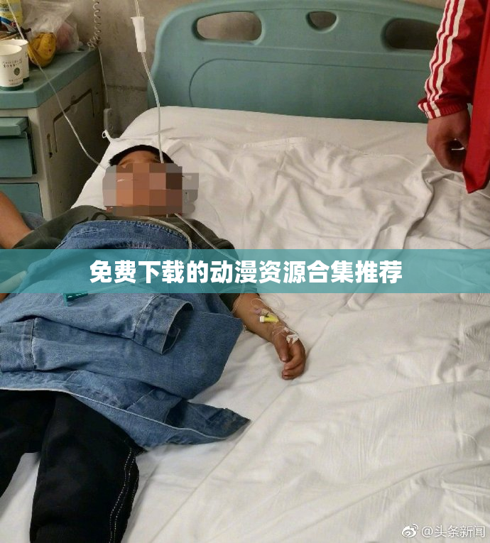 免费下载的动漫资源合集推荐