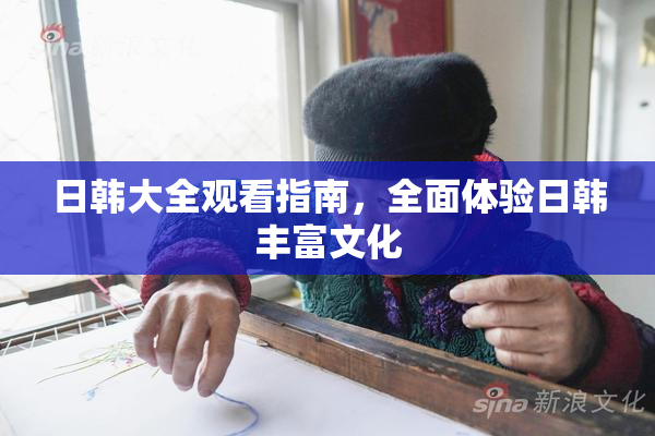日韩大全观看指南，全面体验日韩丰富文化