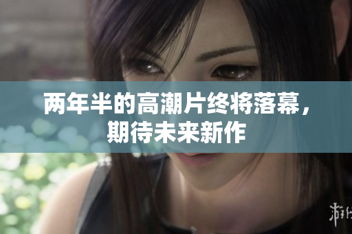 两年半的高潮片终将落幕，期待未来新作