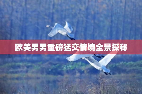欧美男男重磅猛交情境全景探秘