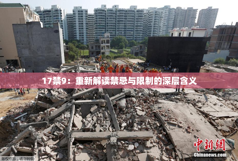 17禁9：重新解读禁忌与限制的深层含义