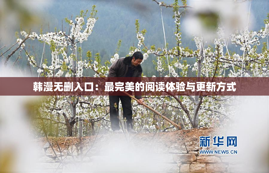 韩漫无删入口：最完美的阅读体验与更新方式