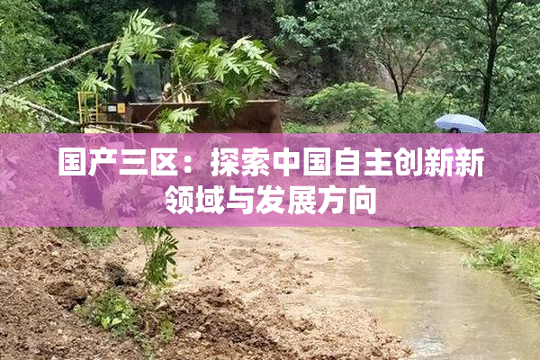 国产三区：探索中国自主创新新领域与发展方向