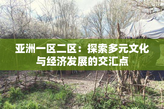 亚洲一区二区：探索多元文化与经济发展的交汇点