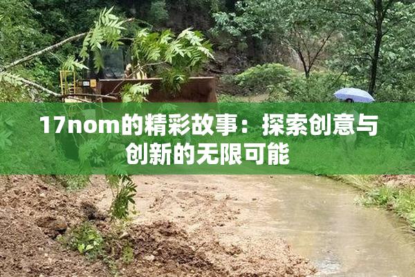 17nom的精彩故事：探索创意与创新的无限可能