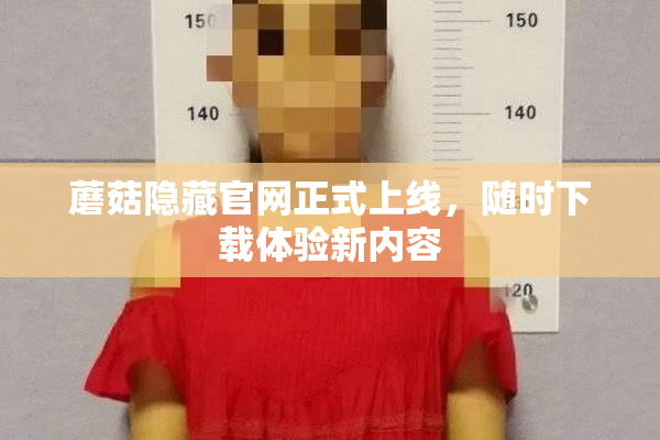蘑菇隐藏官网正式上线，随时下载体验新内容