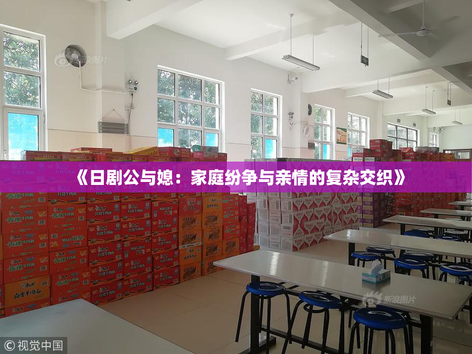 《日剧公与媳：家庭纷争与亲情的复杂交织》