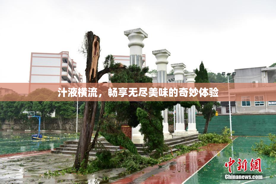 汁液横流，畅享无尽美味的奇妙体验