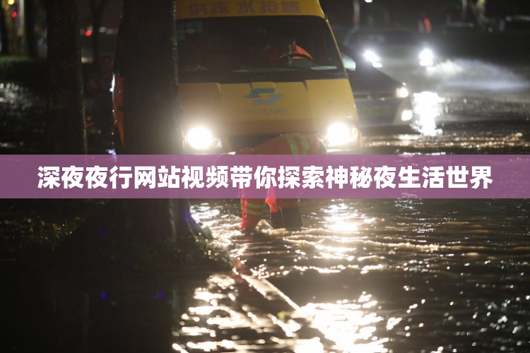 深夜夜行网站视频带你探索神秘夜生活世界