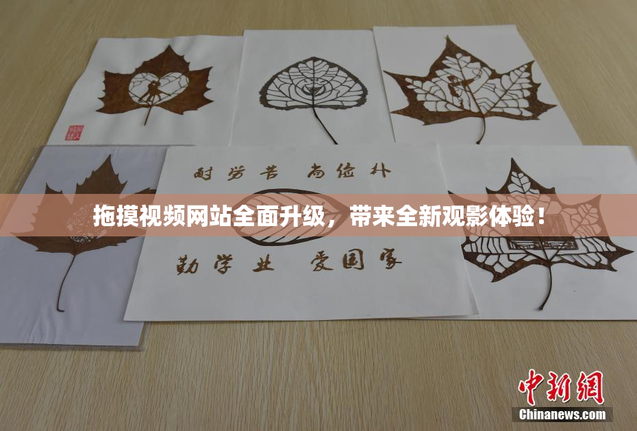拖摸视频网站全面升级，带来全新观影体验！
