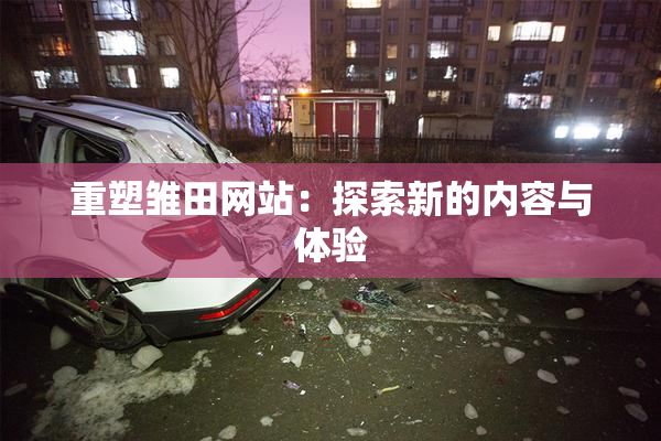 重塑雏田网站：探索新的内容与体验