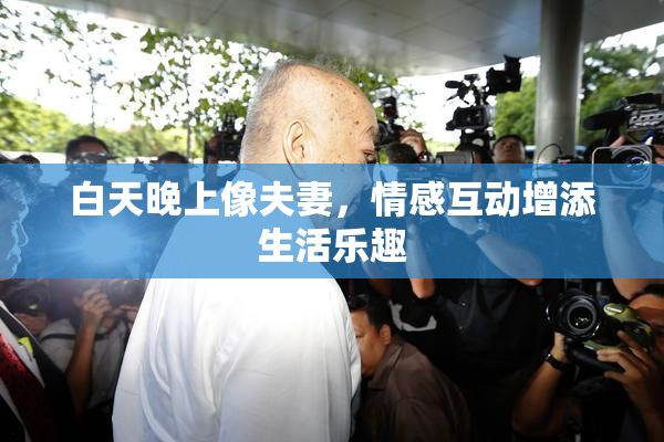 白天晚上像夫妻，情感互动增添生活乐趣