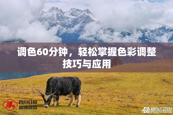 调色60分钟，轻松掌握色彩调整技巧与应用