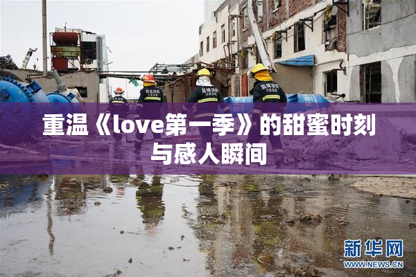 重温《love第一季》的甜蜜时刻与感人瞬间