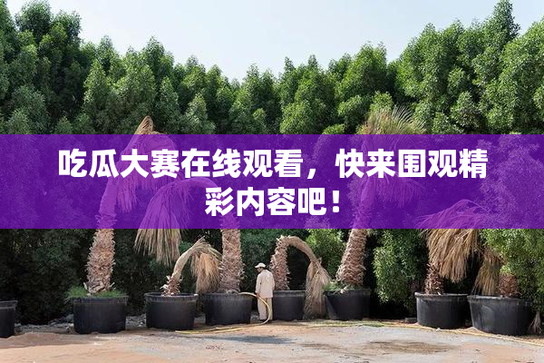 吃瓜大赛在线观看，快来围观精彩内容吧！