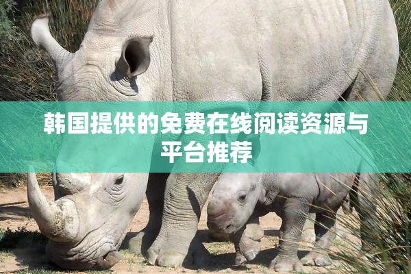 韩国提供的免费在线阅读资源与平台推荐