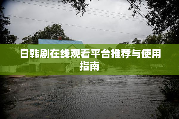 日韩剧在线观看平台推荐与使用指南