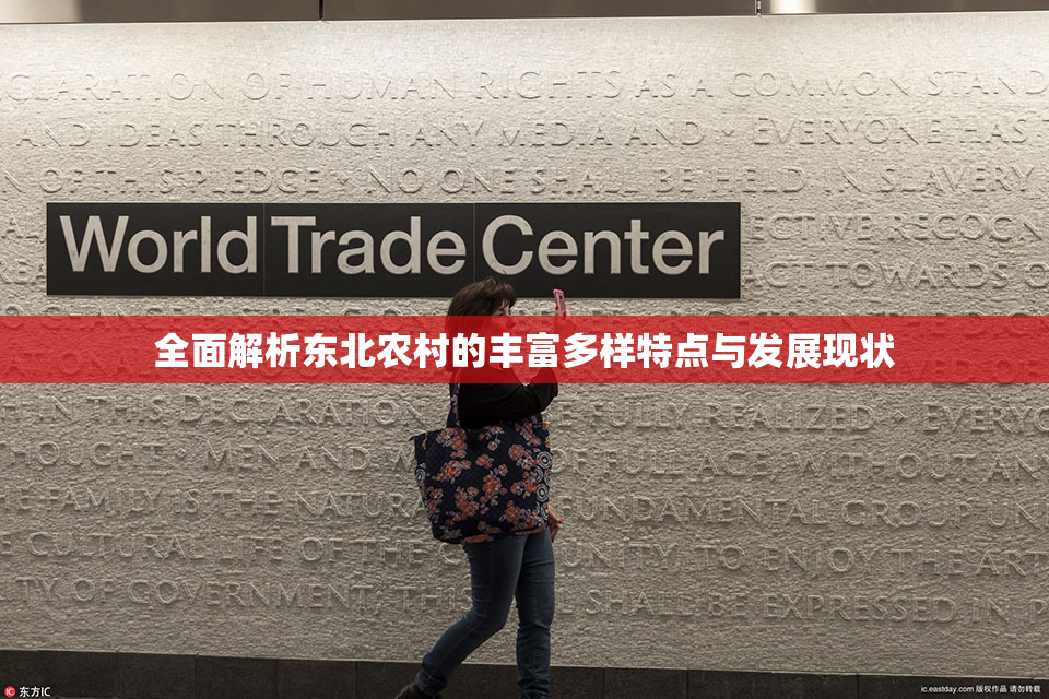 全面解析东北农村的丰富多样特点与发展现状
