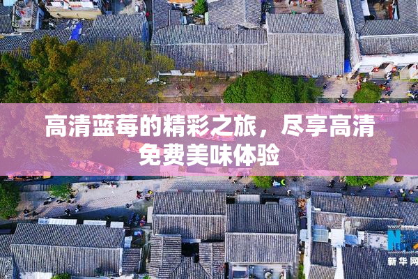 高清蓝莓的精彩之旅，尽享高清免费美味体验