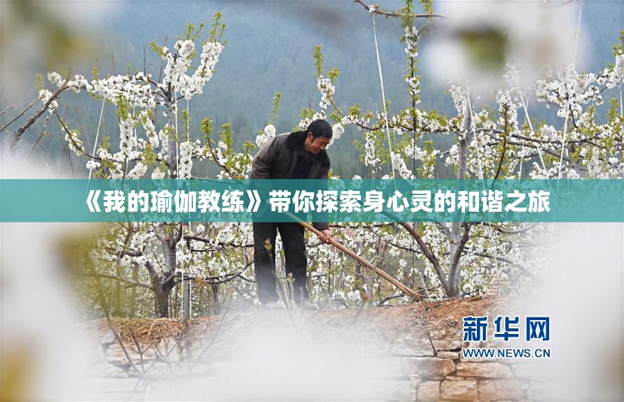 《我的瑜伽教练》带你探索身心灵的和谐之旅