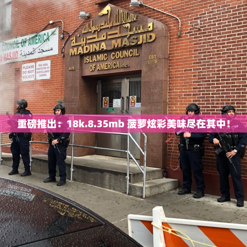重磅推出：18k.8.35mb 菠萝炫彩美味尽在其中！
