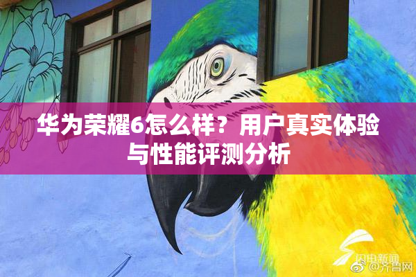 华为荣耀6怎么样？用户真实体验与性能评测分析
