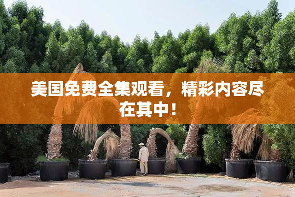 美国免费全集观看，精彩内容尽在其中！