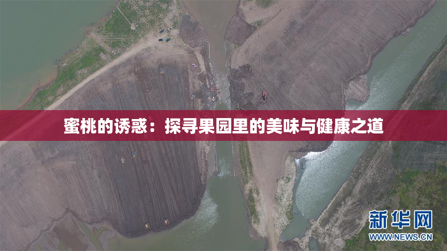 蜜桃的诱惑：探寻果园里的美味与健康之道