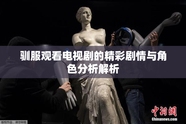 驯服观看电视剧的精彩剧情与角色分析解析