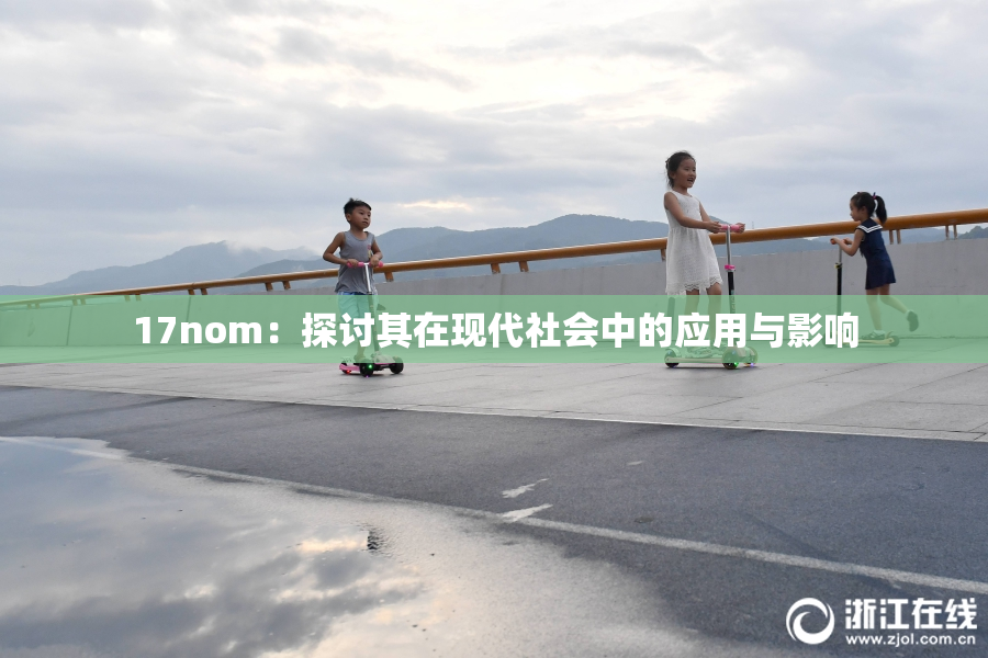 17nom：探讨其在现代社会中的应用与影响